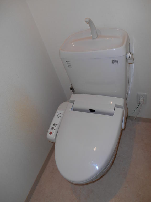 Toilet. Bidet