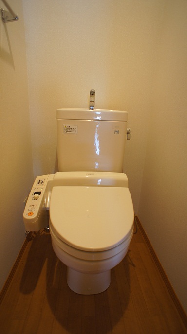 Toilet. Of course, warm water washing toilet seat! ! 