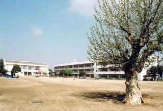 Primary school. 1422m to Tatebayashi Municipal fifth elementary school