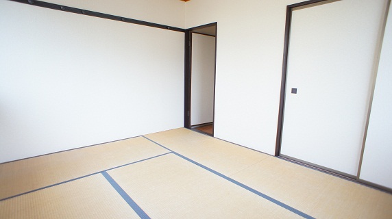 Living and room. North Japanese-style room