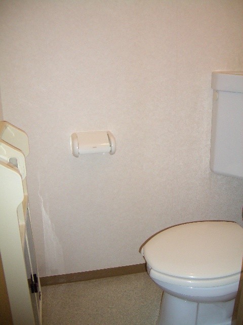 Toilet. Toilet photo