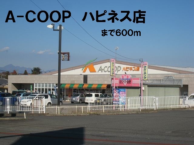 Supermarket. 600m to A-Coop (Super)
