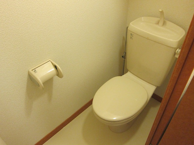 Toilet. The same type is a picture.