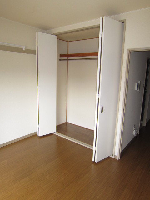 Living and room. Excellent storage capacity of the closet