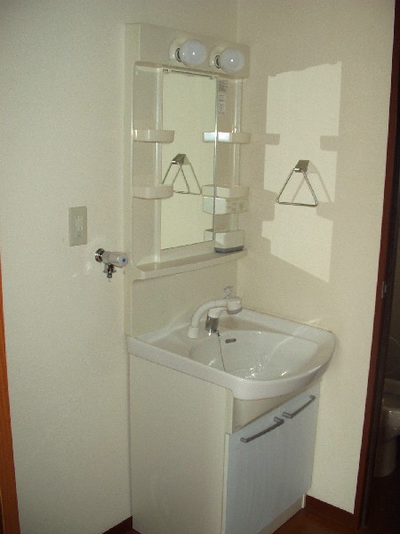 Washroom. With shampoo dresser