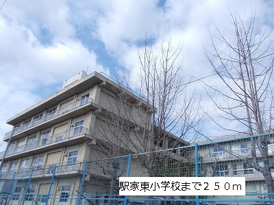 Primary school. Ekika 250m to the east, elementary school (elementary school)