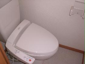 Toilet. Warm water washing toilet seat