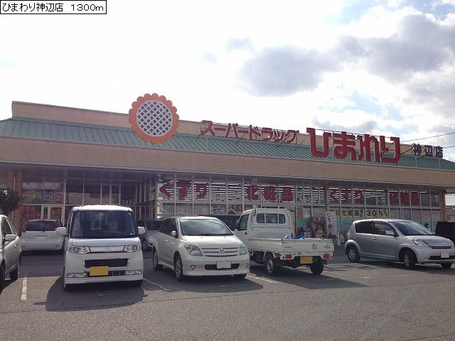 Dorakkusutoa. Sunflower Kannabe shop 1200m until (drugstore)