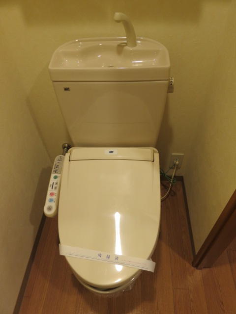 Toilet. With warm water washing toilet seat