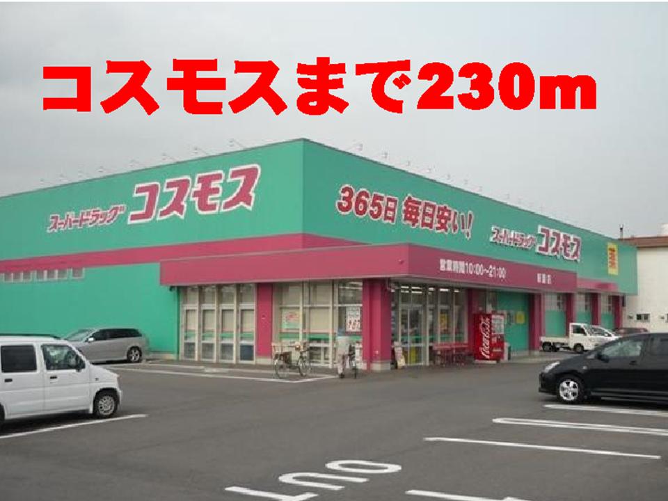 Dorakkusutoa. 230m until the cosmos infringement store (drugstore)