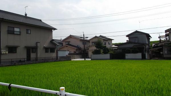 Streets around. 4m oblique facing to rice fields in the rice field