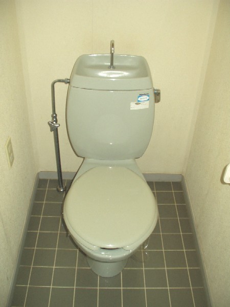 Toilet. Reverse image