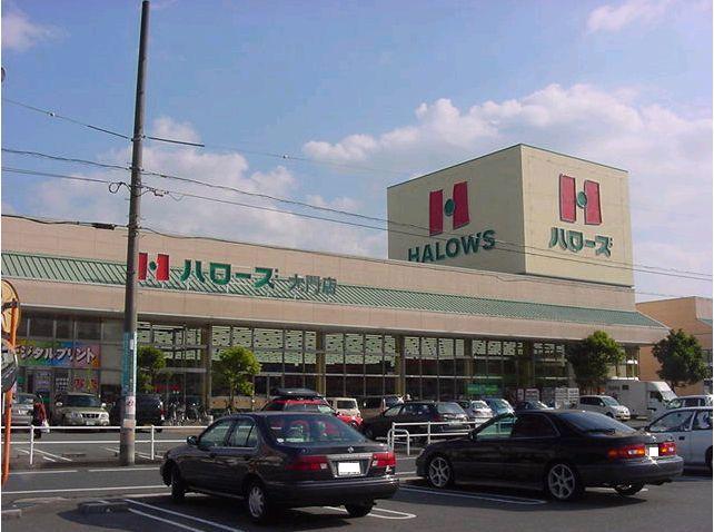 Supermarket. Until Hellos Daimon shop 498m