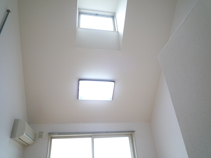 Other. Skylight