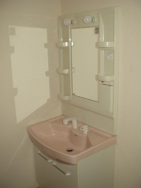 Washroom. Shampoo with Dresser