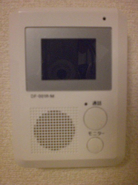 Security. Monitor with intercom