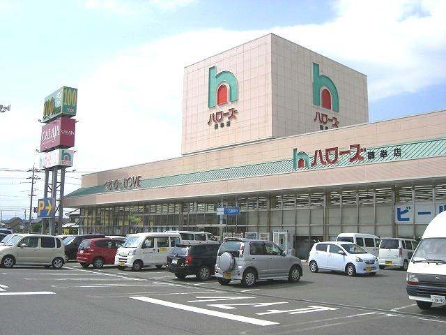Supermarket. Hellos Miyuki 420m to shop
