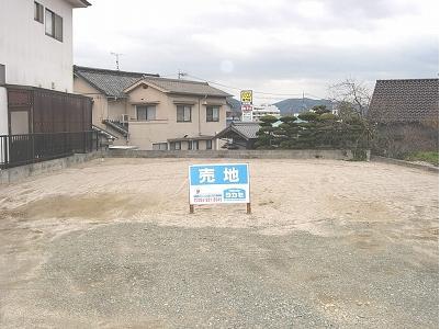 Local land photo