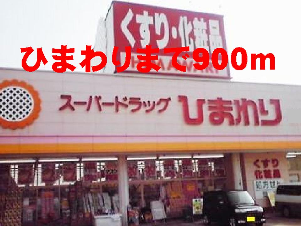 Dorakkusutoa. Sunflower Tajime shop 900m until (drugstore)