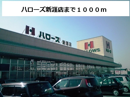 Supermarket. Hellos infringement store up to (super) 1000m