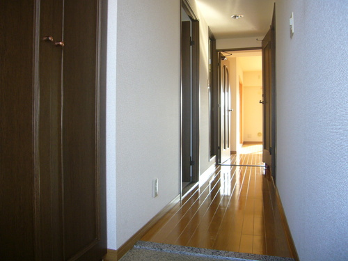 Entrance. Entrance hallway