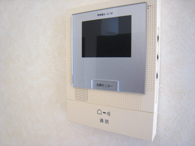 Security. Monitor with intercom