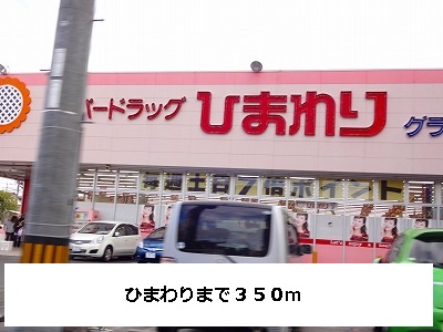 Dorakkusutoa. Sunflower (drugstore) to 350m