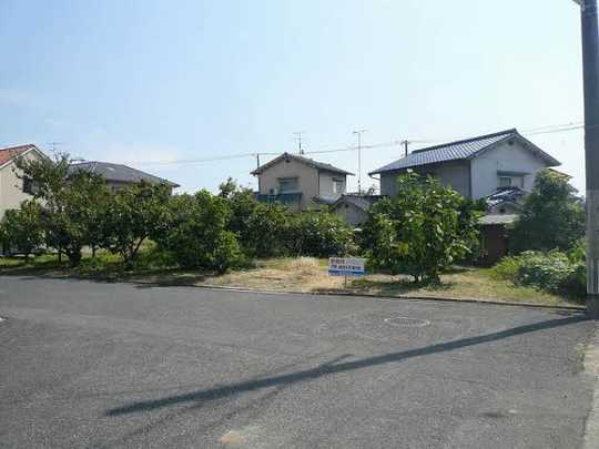 Local land photo