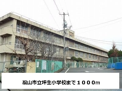 Primary school. 1000m to Fukuyama Municipal Tsubo elementary school (elementary school)