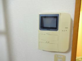 Other. Monitor with intercom