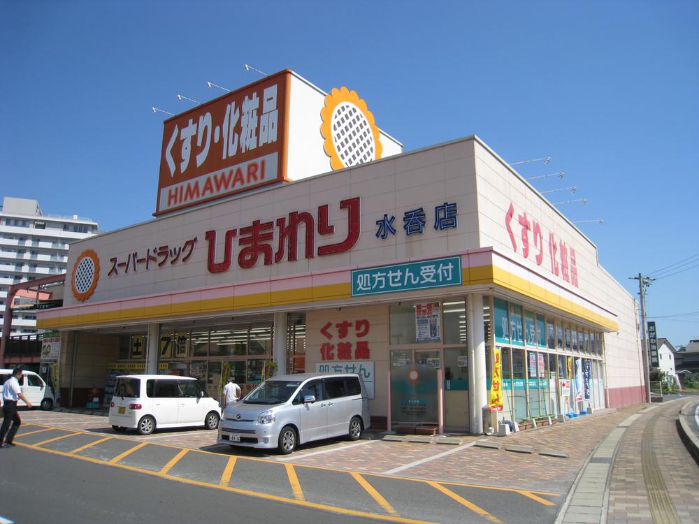 Drug store. 1235m until the super drag sunflower Mizunomi shop