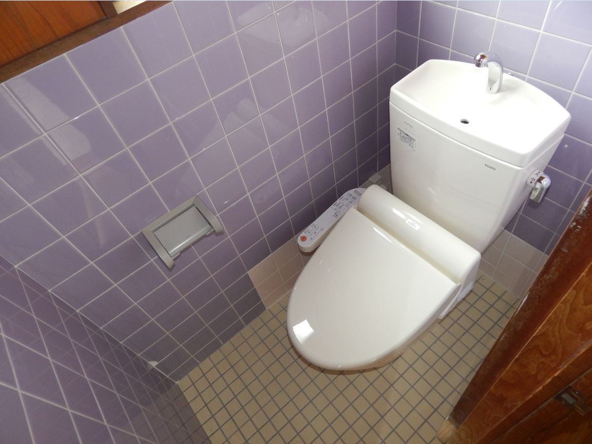 Toilet. Washlet toilet new