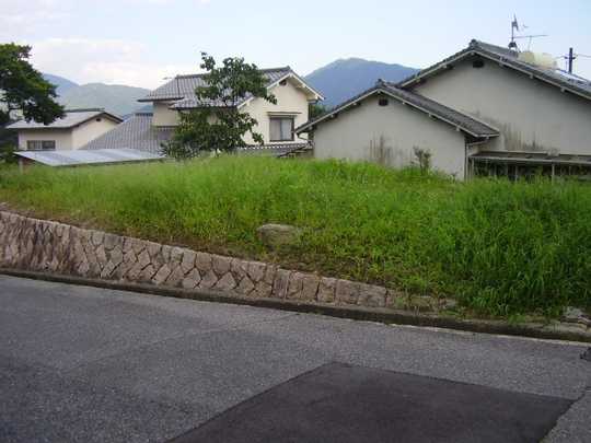 Local land photo. Panoramic view