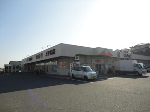 Supermarket. Marushoku Until Kamihera shop 165m