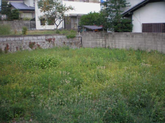 Local land photo