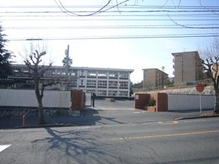 Primary school. Elementary school walk 6 minutes