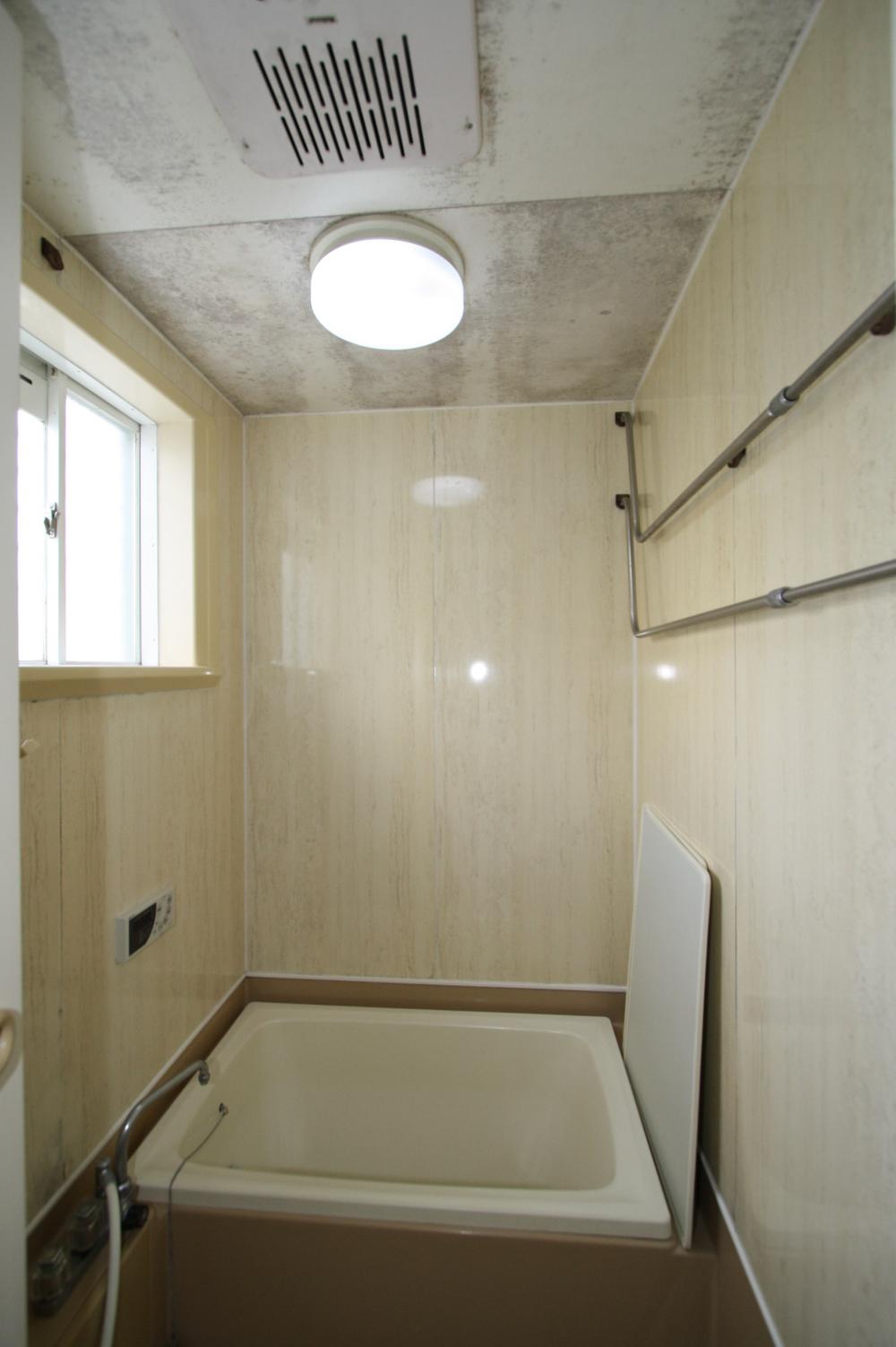 Bathroom. Interior