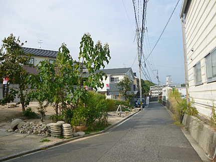 Local photos, including front road