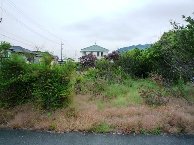 Local photos, including front road