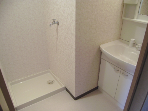 Washroom. Laundry Area