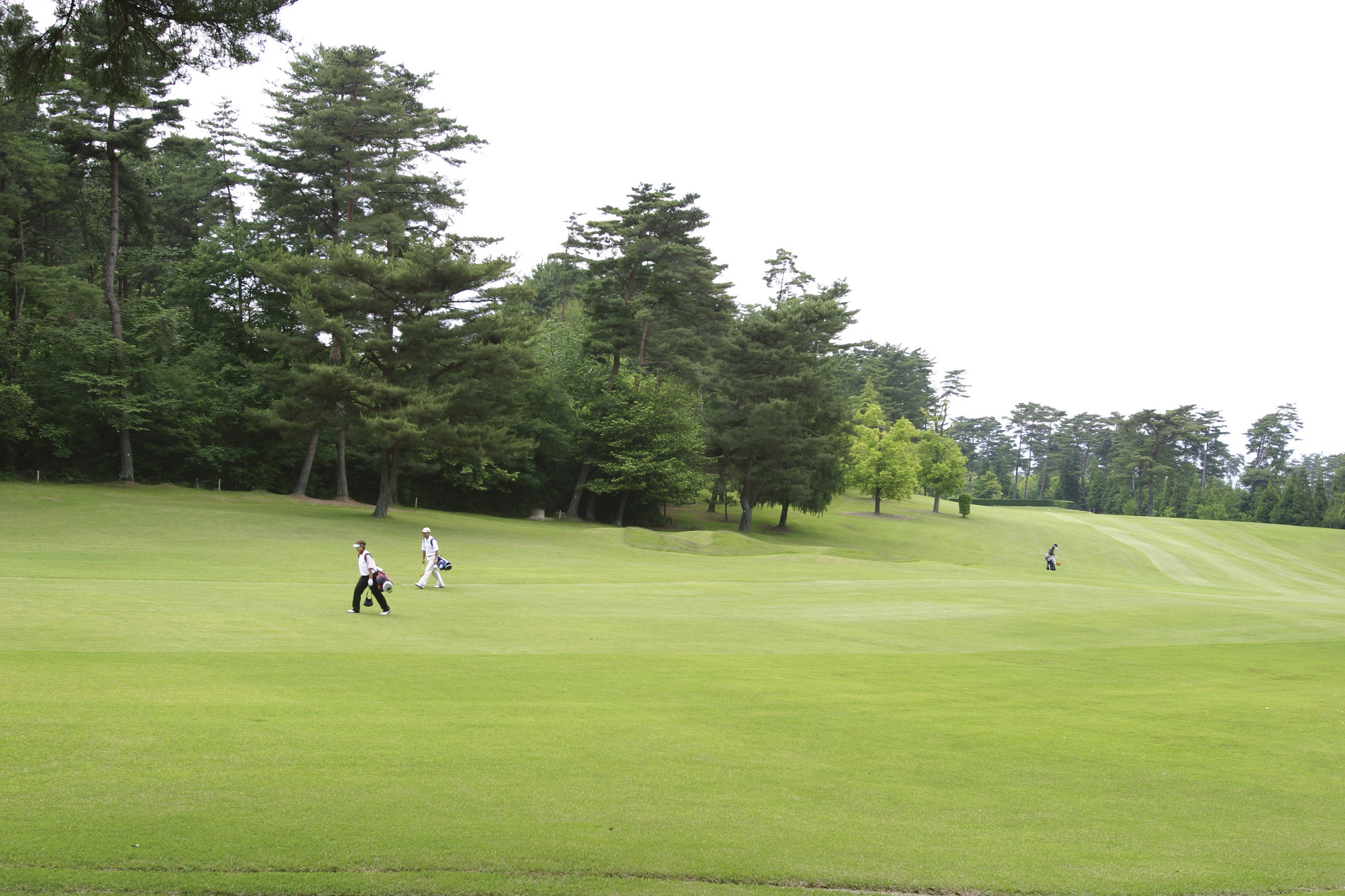 Other Environmental Photo. Hiroshima Country Club Saijo 1500m until the course
