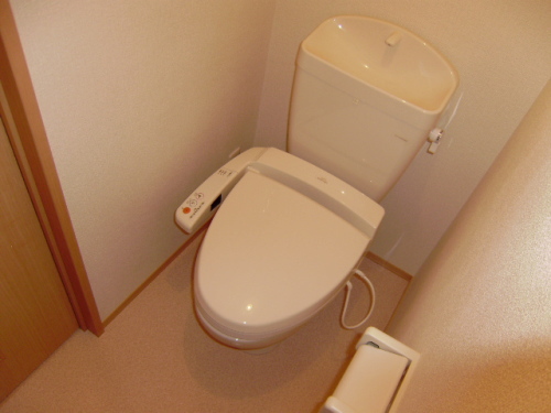 Toilet. Wash with warm toilet seats