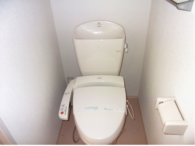 Toilet. Cleaning with a toilet seat