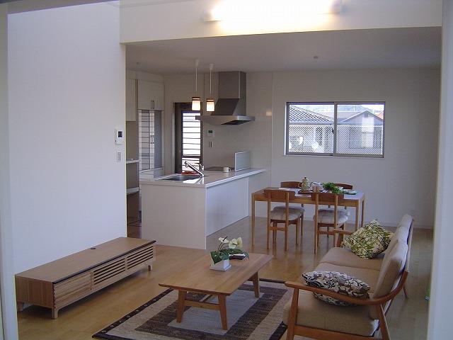 Living. Room (May 2012) shooting