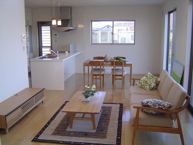 Living. Room (May 2012) shooting