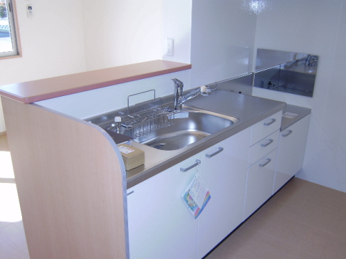 Kitchen. Happy to washing with faucet shower!