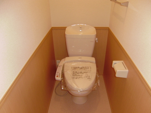 Toilet. Wash with warm water toilet seat