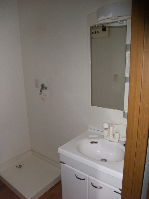 Washroom. Washbasin with shower