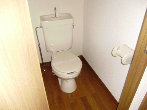 Toilet. Flooring is also in the bathroom