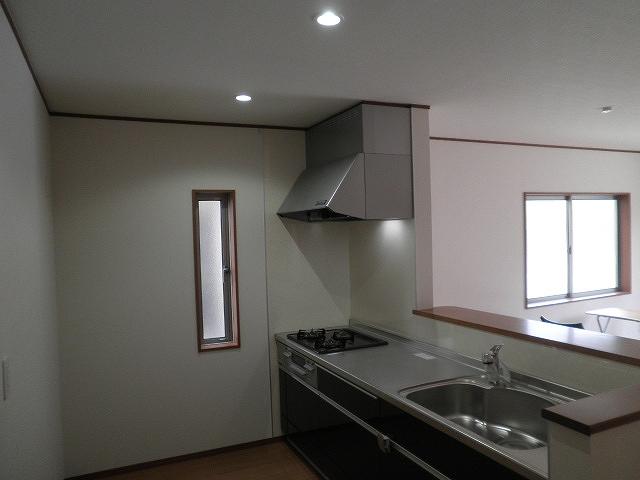 Kitchen. Indoor (10 May 2013) Shooting